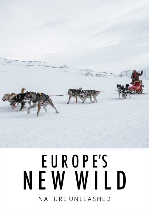 Europe's New Wild Poster