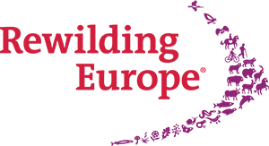Partner Logos